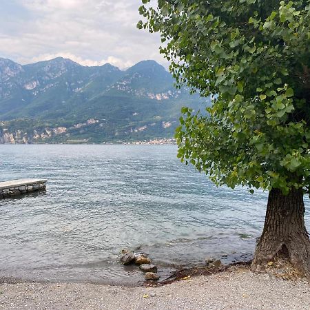 Al Cottage Oliveto Lario Eksteriør bilde