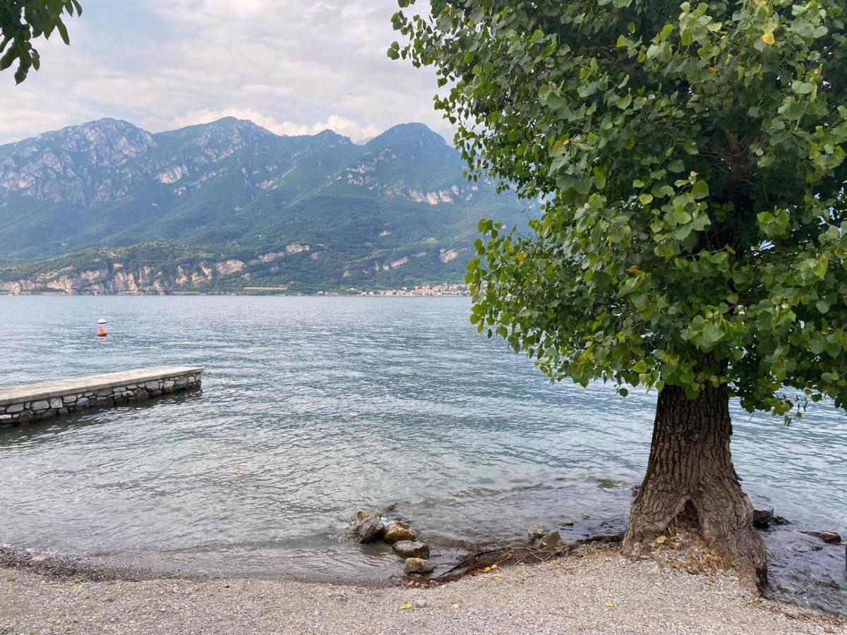Al Cottage Oliveto Lario Eksteriør bilde